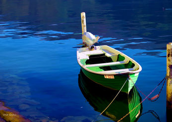 Green decoration for blue Lake 